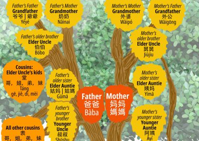 Family Tree 家族树