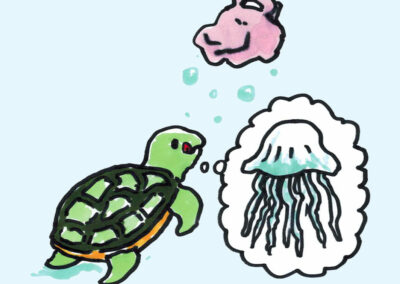What can we do to save the sea turtles? 如何抢救海龟？